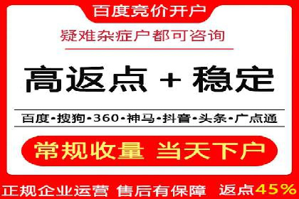 揭秘成功的关键词竞价排名背后的策略与执行